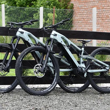 Woodpecker * Nagymaros