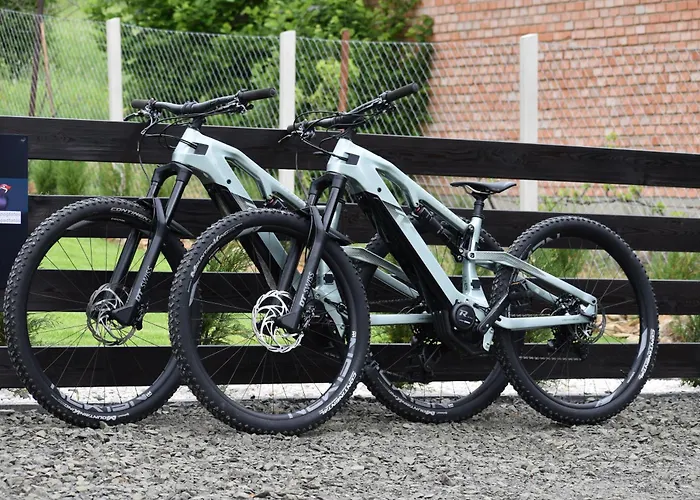 Woodpecker * Nagymaros